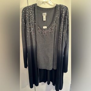 Gorgeous Sweater Set - Chico’s Size 3